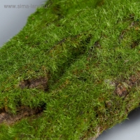 Кора дерева для декора "Blumentag" (набор 4 шт) Кора дерева для декора "Blumentag" (набор 4 шт)