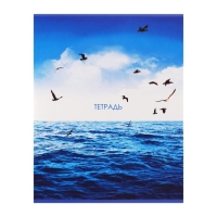 Тетрадь 96 листов в линейку Calligrata "Морской пейзаж", обложка мелованный картон, блок №2, белизна 75% (серые листы), МИКС Тетрадь 96 листов в линейку Calligrata "Морской пейзаж", обложка мелованный картон, блок №2, белизна 75% (серые листы), МИКС