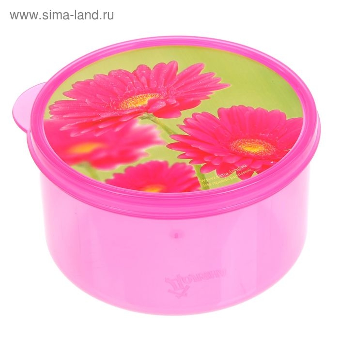 Ланч-бокс круглый FoodVibes &laquo;Цветы&raquo;, 500 мл