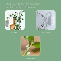 Крепления для вьющихся растений, настенные, самоклеящиеся, &laquo;Улитка&raquo;, d = 10 мм, набор 10 шт., Greengo