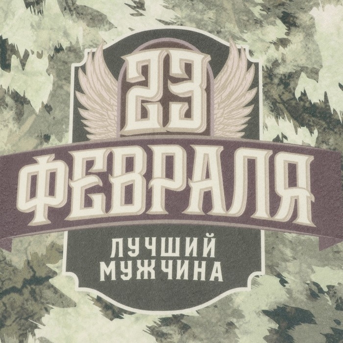 Набор подарочный Набор подарочный "23 февраля" плед, носки, перчатки