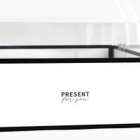 Коробка для цветов с формовым вкладышем и PVC крышкой «Present», 23.5 х 23.5 х 15 см Коробка для цветов с формовым вкладышем и PVC крышкой «Present», 23.5 х 23.5 х 15 см