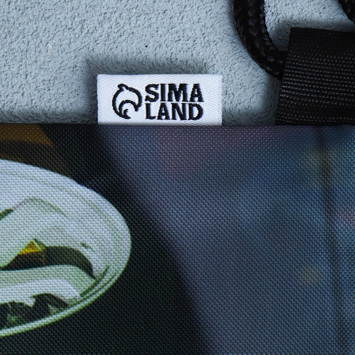 Мешок для обуви &laquo;Крутая тачка&raquo; 2 секции, 30 х 40 см