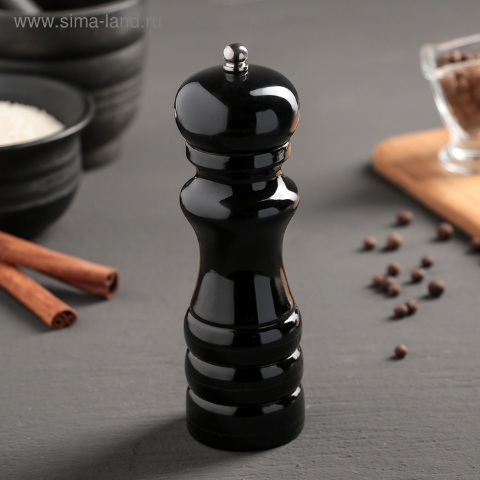 Мельница для специй &laquo;Краски&raquo;, 16 см, цвет чёрный