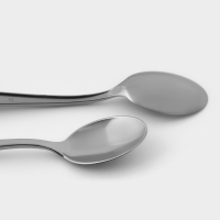 Ложка пластиковая одноразовая, 17,5 см, цвет металлик, 6 шт/уп Ложка пластиковая одноразовая, 17,5 см, цвет металлик, 6 шт/уп