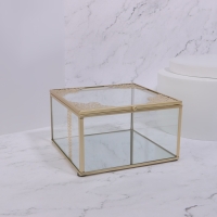 Органайзер для хранения «GREAT», с крышкой, стеклянный, с зеркальным дном, 1 секция, 15 × 15 × 8,5 см, цвет прозрачный/медный Органайзер для хранения «GREAT», с крышкой, стеклянный, с зеркальным дном, 1 секция, 15 × 15 × 8,5 см, цвет прозрачный/медный