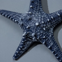 Сувенир интерьерный "Морская звезда" 23см Сувенир интерьерный "Морская звезда" 23см