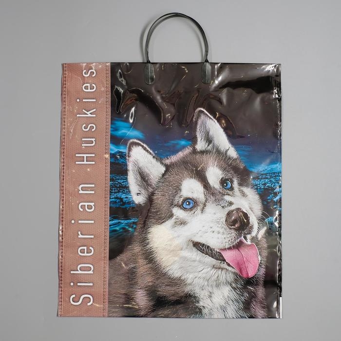 Пакет Пакет "Хаски", полиэтиленовый с пластиковой ручкой, 100 мкм 40 х 44 см