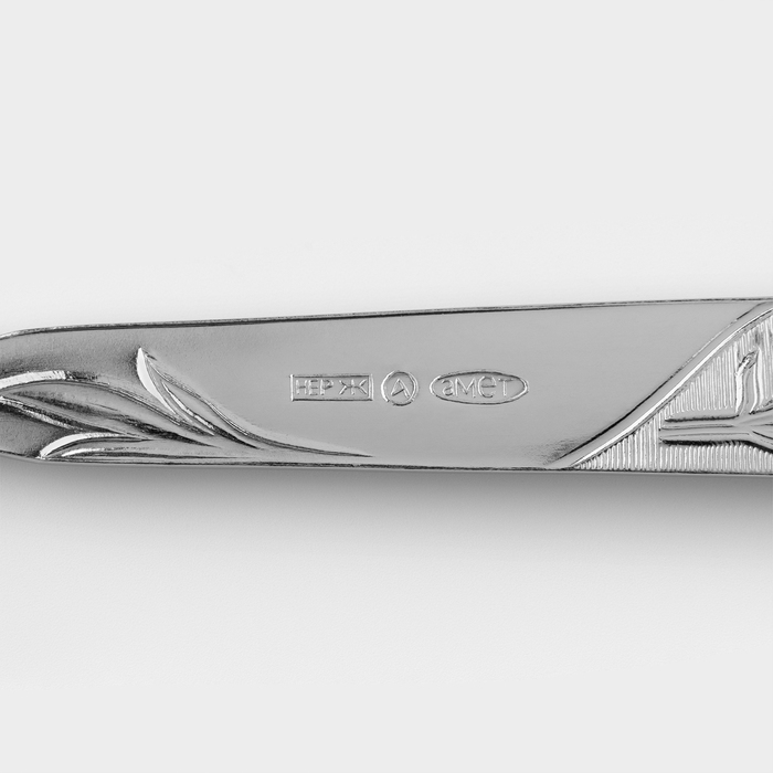 Ложка столовая «Эконом», h=20 см, толщина 1.5 мм, цвет серебряный Ложка столовая «Эконом», h=20 см, толщина 1.5 мм, цвет серебряный