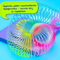 Пружинка-радуга &laquo;Большая&raquo;, в сетке