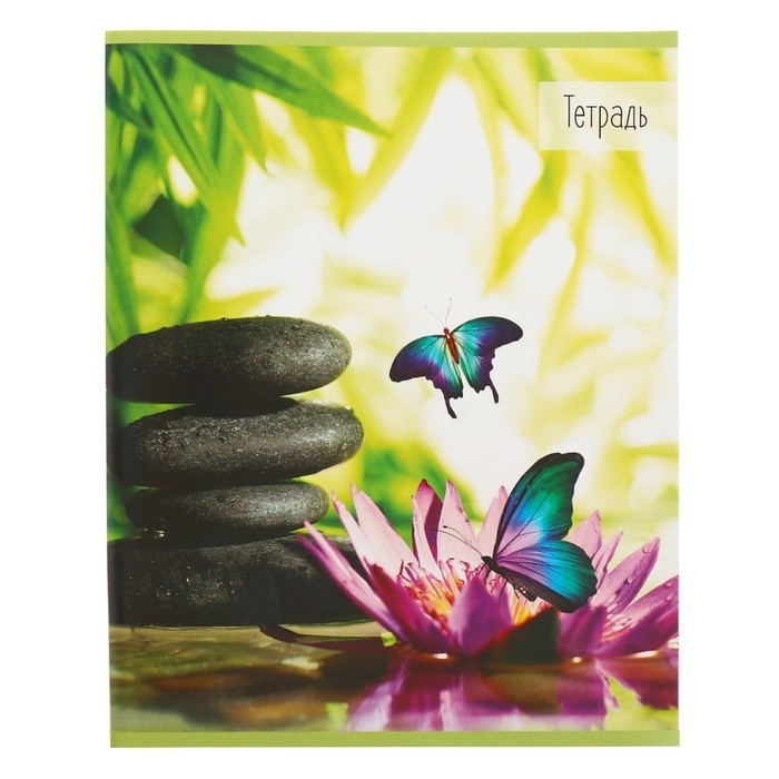 Комплект тетрадей из 5 штук (4 разные + 1 повторяющаяся), 36 листов в клетку Calligrata Комплект тетрадей из 5 штук (4 разные + 1 повторяющаяся), 36 листов в клетку Calligrata "Бабочки", обложка мелованная бумага, блок №2, белизна 75% (серые листы)