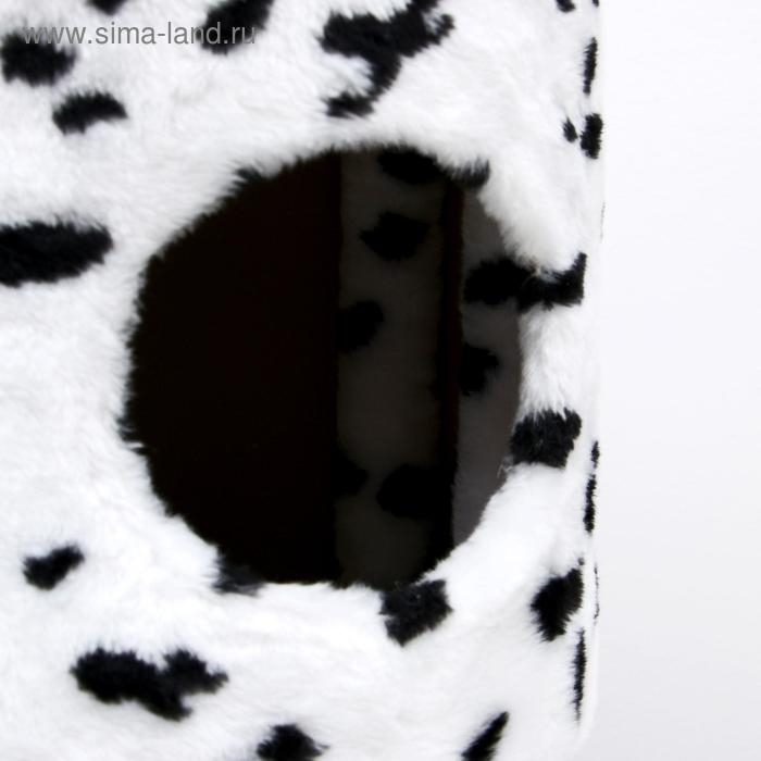 Домик для кошек с когтеточкой Домик для кошек с когтеточкой "Круглый с площадкой", 52 х 52 х 95 см, далматинец