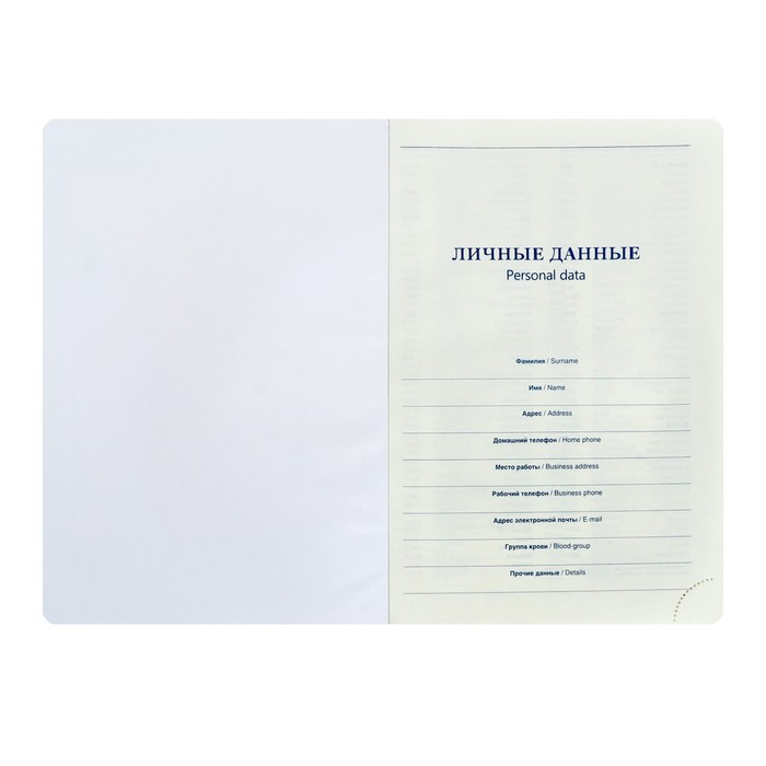 Ежедневник недатированный А5, 140 листов в клетку, с хлястиком, обложка пвх, МИКС