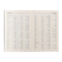 Ежедневник недатированный А5, 136 листов SENATE, обложка искусственная кожа, магнитный хлястик, сменный блок, серый