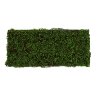 Декоративная панель, 90 × 40 см, «Ряска», Greengo Декоративная панель, 90 × 40 см, «Ряска», Greengo