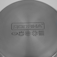 Кастрюля из нержавеющей стали Доляна &laquo;Вернер&raquo;, 3,5 л, d=20 см, с крышкой, индукция