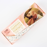 Набор «Мрамор», застёжка - фастекс, поводок 2 м и ошейник 28-46 см Набор «Мрамор», застёжка - фастекс, поводок 2 м и ошейник 28-46 см