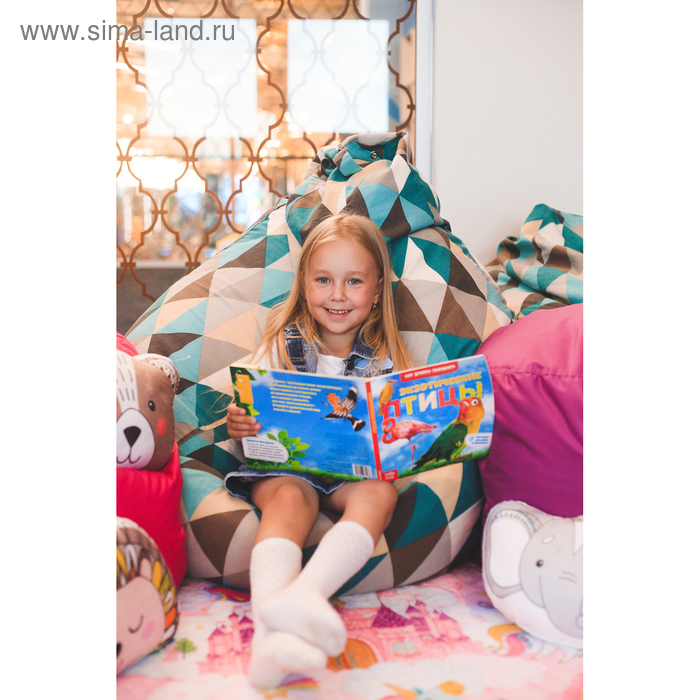 Музыкальная книга «Экзотические птицы», 12 стр. Музыкальная книга «Экзотические птицы», 12 стр.