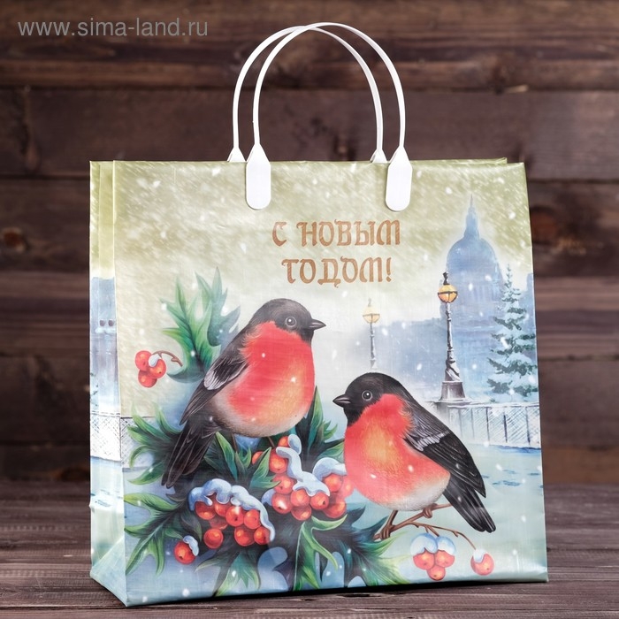 Новый год. Пакет Новый год. Пакет "Пернатые друзья", мягкий пластик, 30х30 см.