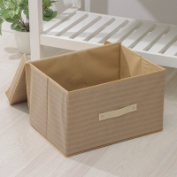 Короб стеллажный для хранения с крышкой Доляна &laquo;Гусиная лапка&raquo;, 40&times;30&times;25 см, цвет бежевый