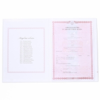 Папка для свидетельства о заключении брака «Розовая дымка», А4 Папка для свидетельства о заключении брака «Розовая дымка», А4