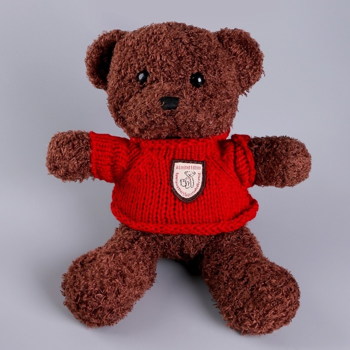 Мягкая игрушка &laquo;Медведь&raquo; в кофте, 28 см, цвет МИКС