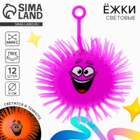 Мяч детский резиновый ёжка «Гарри», резиновый, световой, цвета МИКС Мяч детский резиновый ёжка «Гарри», резиновый, световой, цвета МИКС