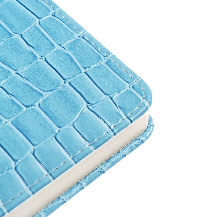 Ежедневник датированный 2025 года A5, 168 листов, deVENTE. Barbara, твердая обложка кожзам с поролоном, перфорацией, ляссе, блок 70, голубой