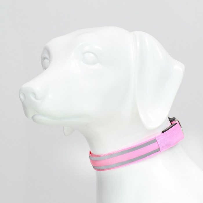 Ошейник с подсветкой Двойная полоса размер М, ОШ 40-48 х 2,5 см 3 режима свечения розовый