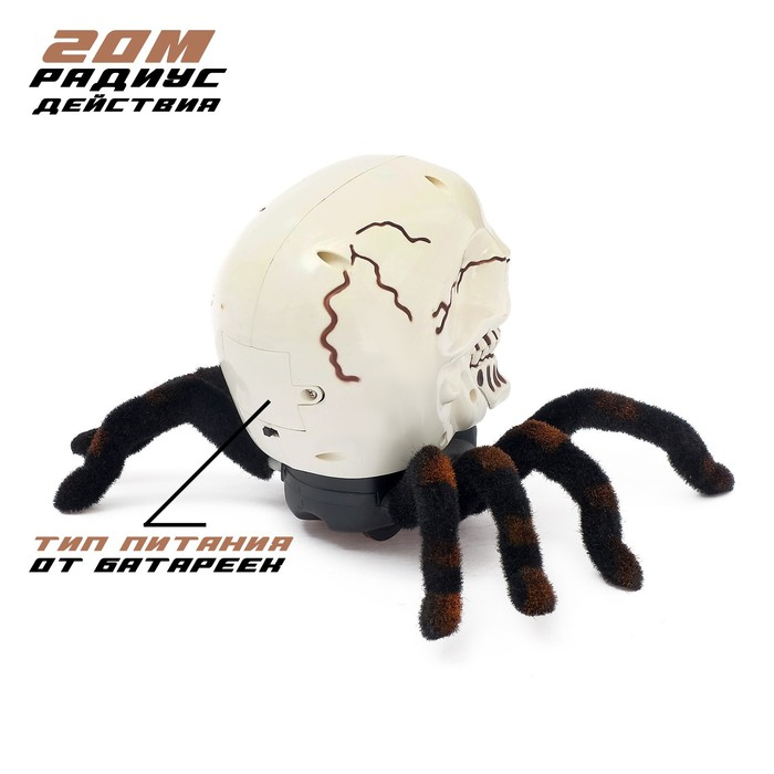 Паук радиоуправляемый «Череп», световые эффекты, работает от батареек Паук радиоуправляемый «Череп», световые эффекты, работает от батареек