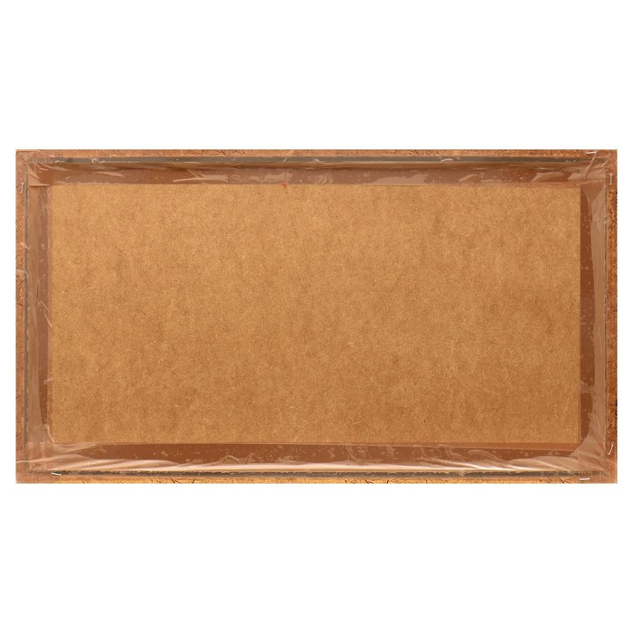 Гобеленовая картина "Дух свободы" 45*83 см рамка микс