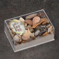 Набор "Аммониты" Набор "Аммониты"