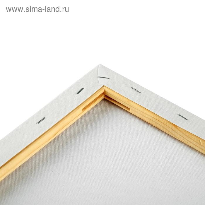 Холст на подрамнике, хлопок 100%, 40 х 50 х 1.8 см, акриловый грунт, мелкозернистый, 280 г/м&sup2;