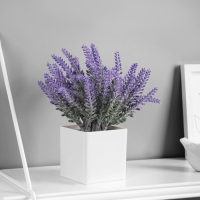 Бонсай "Лаванда экстра" 8х19 см, сиреневый Бонсай "Лаванда экстра" 8х19 см, сиреневый