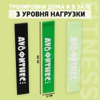 Набор фитнес-резинок ONLYTOP &laquo;Авокадо&raquo;: нагрузка 10, 14, 22 кг, 3 шт., 30х5 см
