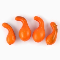 Набор для творчества &laquo;Осенние поделки&raquo;, в сетке