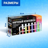 Набор для опытов &laquo;Научный ксилофон&raquo;