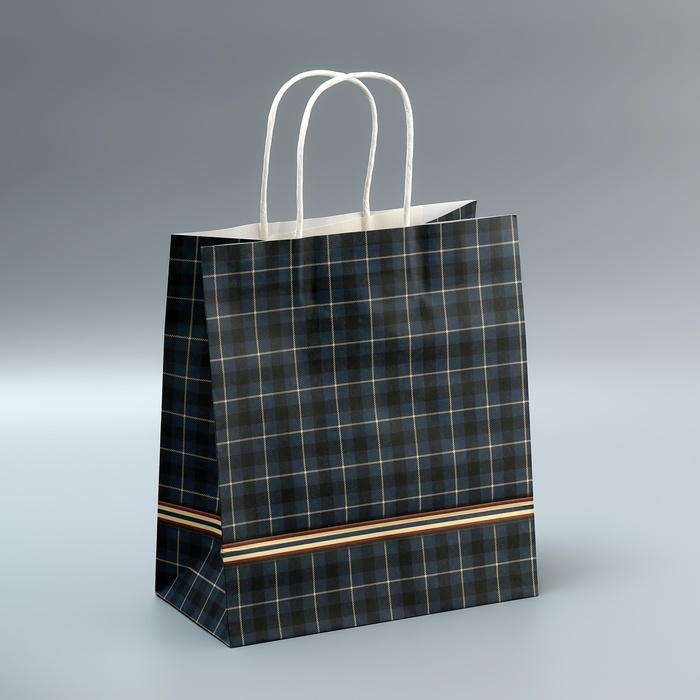 Пакет подарочный крафтовый, упаковка, &laquo;Клетка&raquo;, 22 х 25 х 12 см