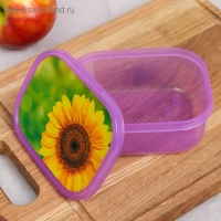 Ланч-бокс &laquo;Подсолнух&raquo;, 500 мл
