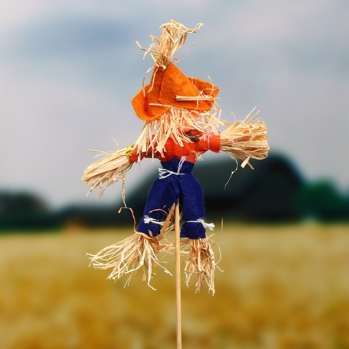 Огородное пугало &laquo;Тыква&raquo;, h = 50 см, МИКС, Greengo