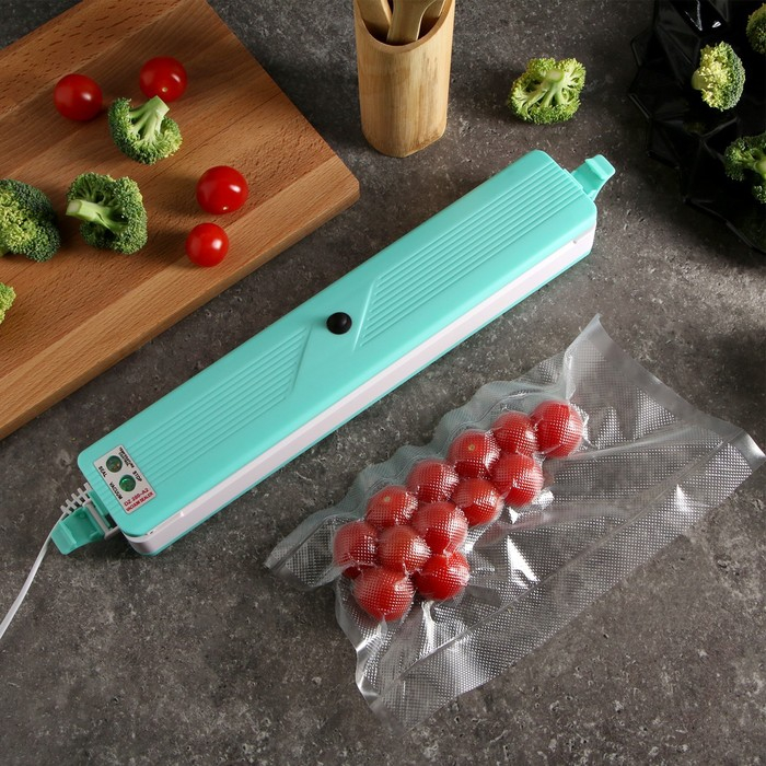 Вакууматор Luazon LPS-02, 15 Вт, 6 пакетов, 220В, 25 см, бирюзовый Вакууматор Luazon LPS-02, 15 Вт, 6 пакетов, 220В, 25 см, бирюзовый