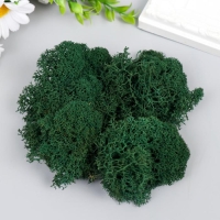 Мох стабилизированный "Серо зелёный" 45 гр (+-5 гр) Мох стабилизированный "Серо зелёный" 45 гр (+-5 гр)