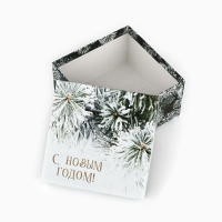 Набор подарочных коробк 5 в 1 &laquo;Снежная зима&raquo;, 14 х 14 х 8&ndash;22 х 22 х12 см, Новый год