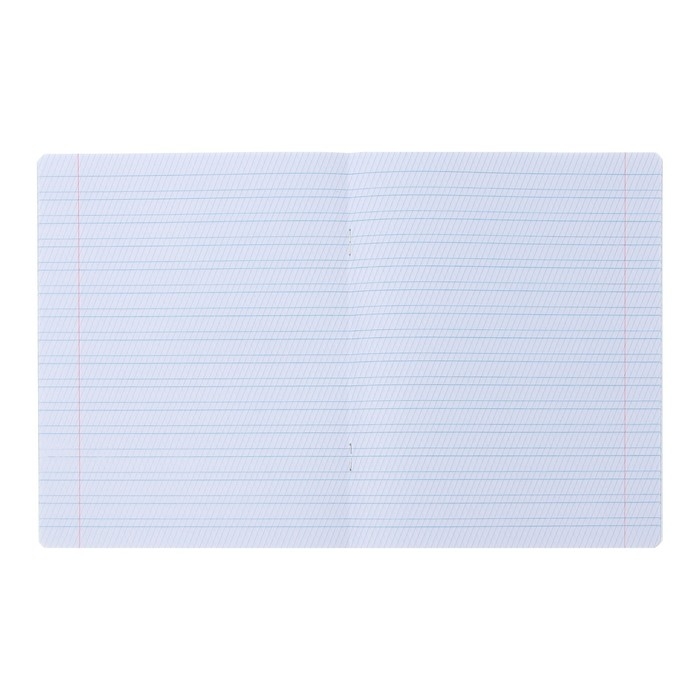 Комплект тетрадей из 10 штук, 12 листов в частую косую линию Calligrata "Супер М", обложка мелованная бумага, ВД-лак, блок офсет, 5 видов по 2 штуки