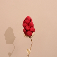 Сухоцвет на бамбуковом стебле 150 см красный Сухоцвет на бамбуковом стебле 150 см красный