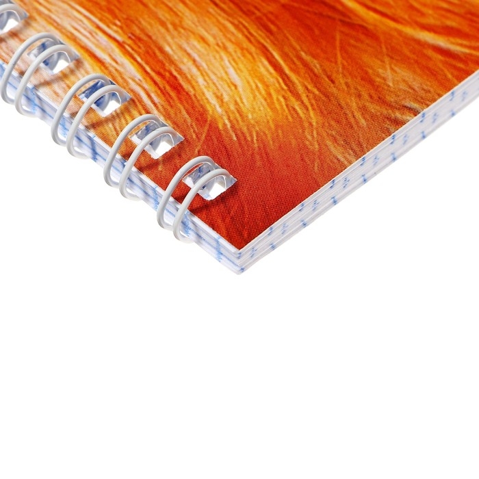 Тетрадь 48 листов, в клетку, на гребне, Тетрадь 48 листов, в клетку, на гребне, "Разбуди в себе Зверя!", обложка мелованный картон, блок офсет, МИКС