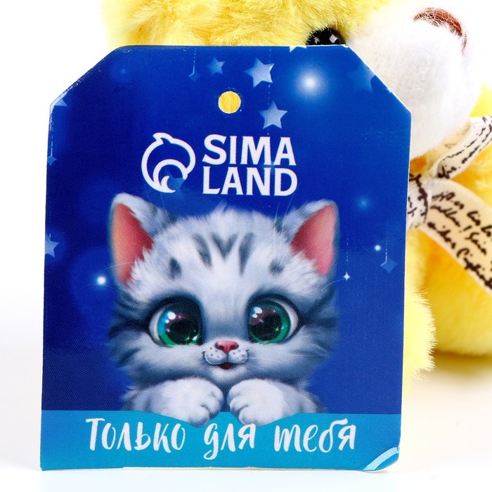 Брелок &laquo;Медведь&raquo;, 8 см, цвет МИКС