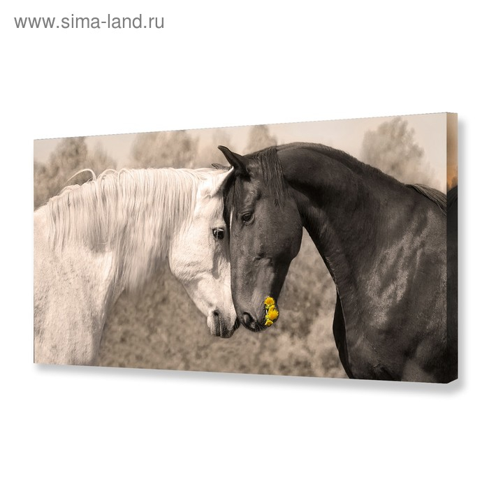 Картина на холсте "Любовь" 50х100 см