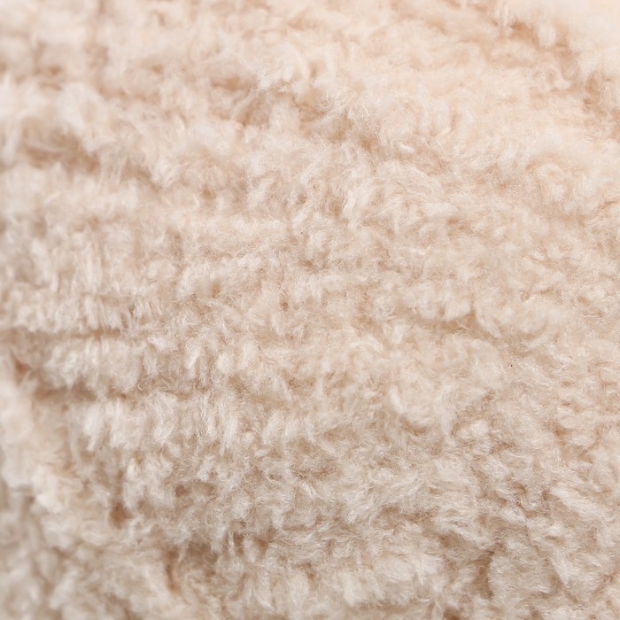 Пряжа "Softy" 100% микрополиэстер 115м/50гр (310 св. бежевый)