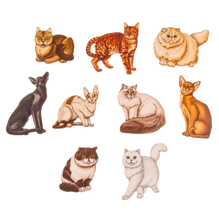 Рамки-вкладыши &laquo;Породы кошек&raquo;